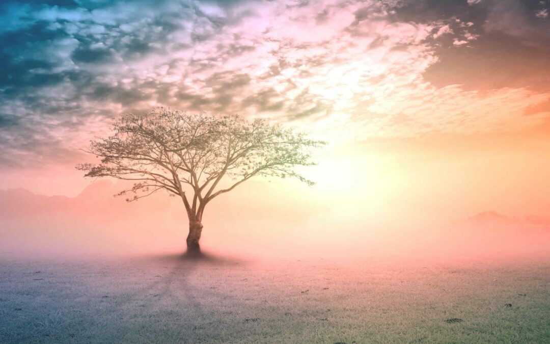 Thème astral et spiritualité : le lien entre les deux.